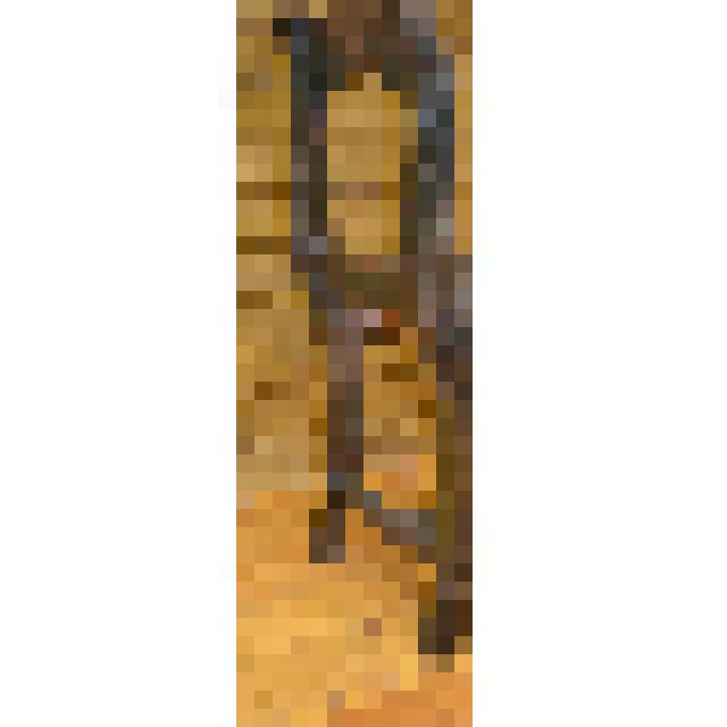 Спинка  старинного стула