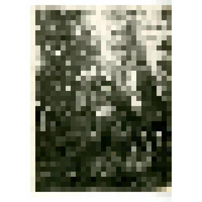 Фотография. Экспедиция.В лесу