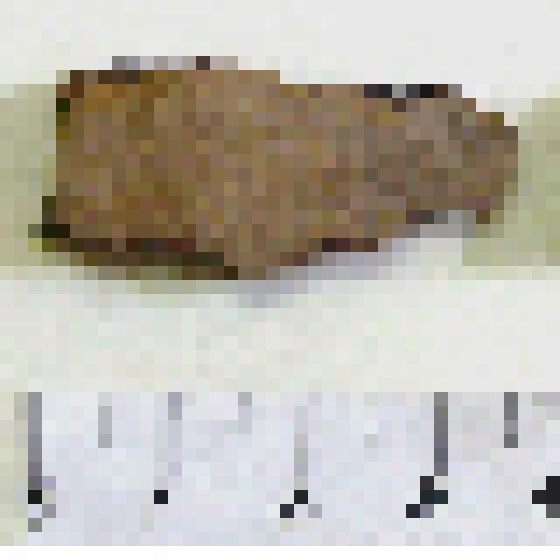 Фрагмент стенки лепного сосуда