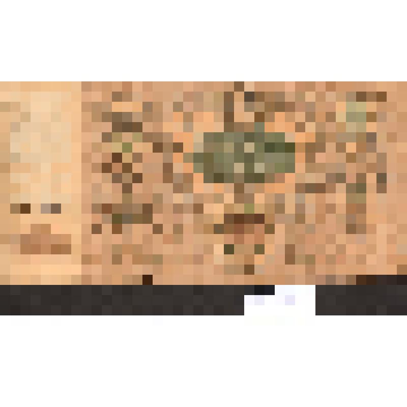 Денежный знак 5000 рублей обр. 1918г. Ростовской- на- Дону конторы Госбанка