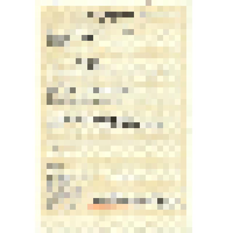 Приглашение на въезд в Российскую Федерацию, № 2V6002626, Серия ПВС-2 0399867, Тян Габ Сен, Выдан УВД 739 17.06.2003 г