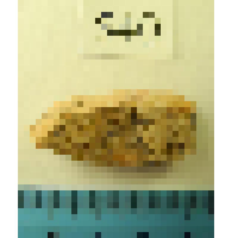 Резец