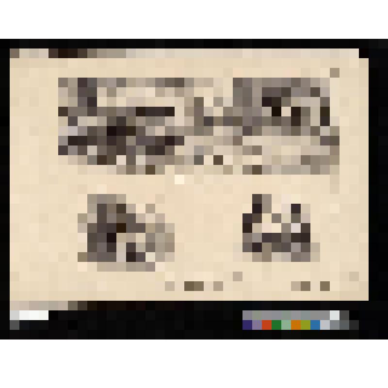 Швейцарцы на улице Роан. Les Suisses au coin de la rue de Rohan. №3