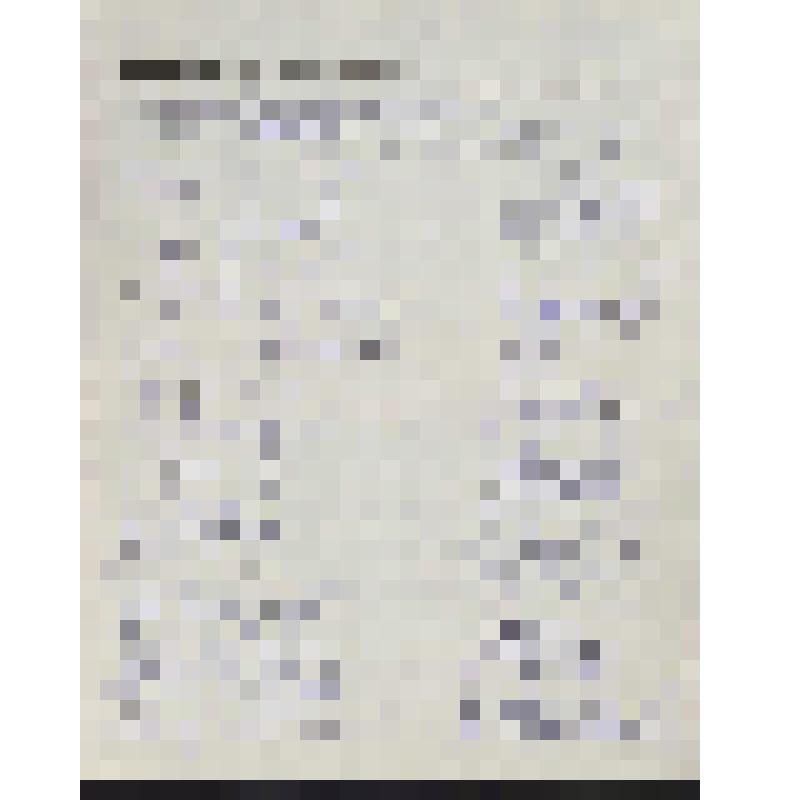 Документ. Списки лиц, оставивших свои автографы на бланке Русско-американского культурно-просветительского и благотворительного общества «Родина» (г. Лейквуд штат Нью-Джерси, США). Среди лиц: Шлыков, Супронович, Соловьев и др. Более 80 фамилий
 (