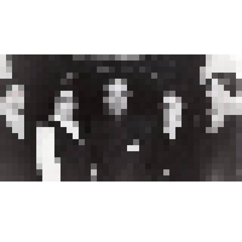 Фотография черно-белая , групповая, погрудная. Победители социалистического соревнования