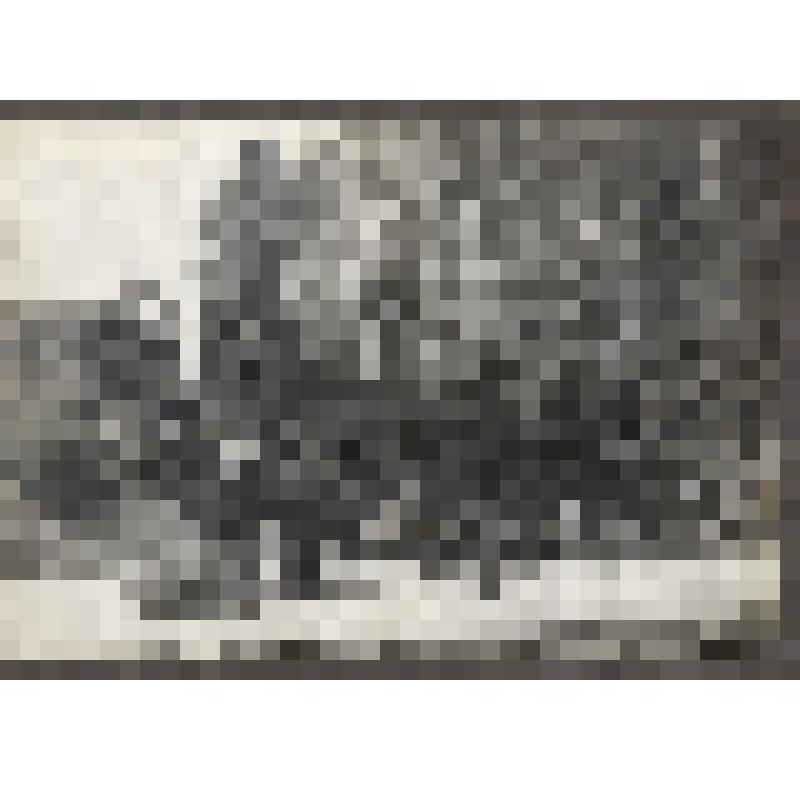 Л.Н.Толстой с Александрой Львовной Толстой близ ст. «Засека»