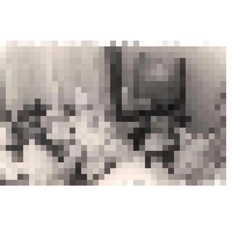 Фотография. Медведева - Орехова Мария Ивановна (1881-1953, урожд. Махалина, в нпч. 1900-х гг няня в семье Пешковых) в гробу