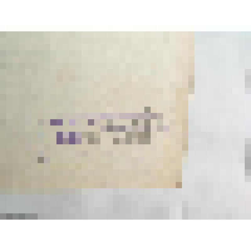 Плакат. Животные и человек ледникового периода (древнего каменного века). Из альбома наглядных пособий "Развитие жизни на Земле"