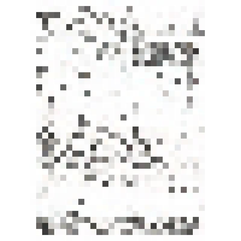 Приговор специальной коллегии Башкирского главного суда. Из архива УФСБ РФ по республике Башкортостан