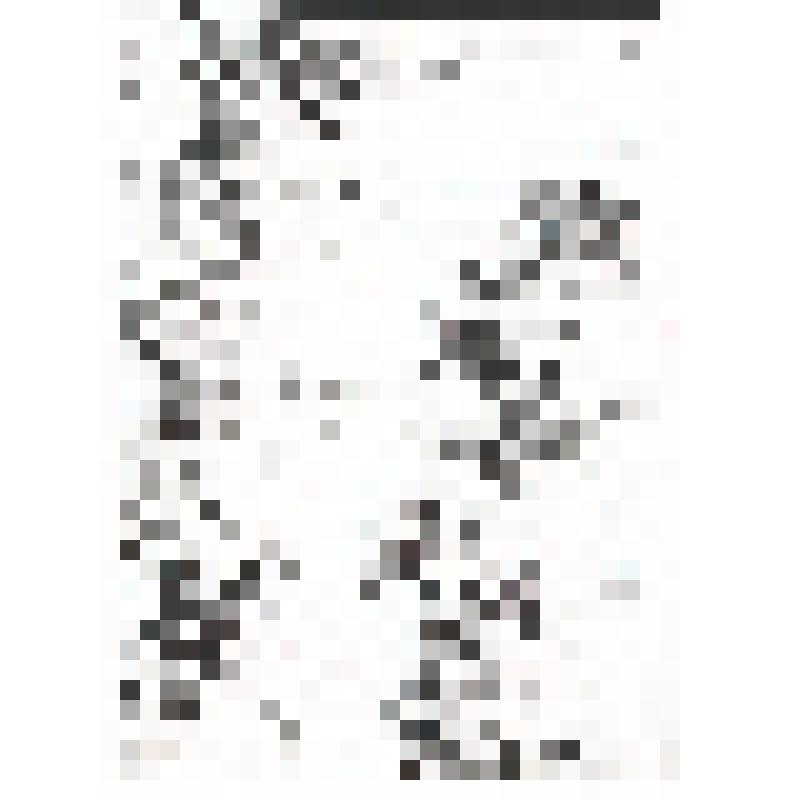 Приговор специальной коллегии Башкирского главного суда. Из архива УФСБ РФ по республике Башкортостан