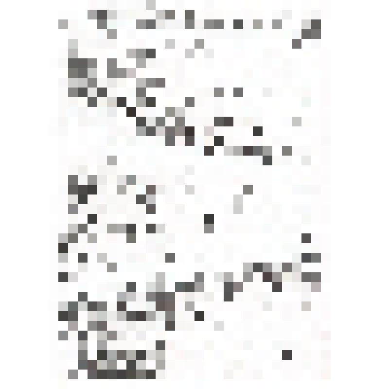 Приговор специальной коллегии Башкирского главного суда. Из архива УФСБ РФ по республике Башкортостан