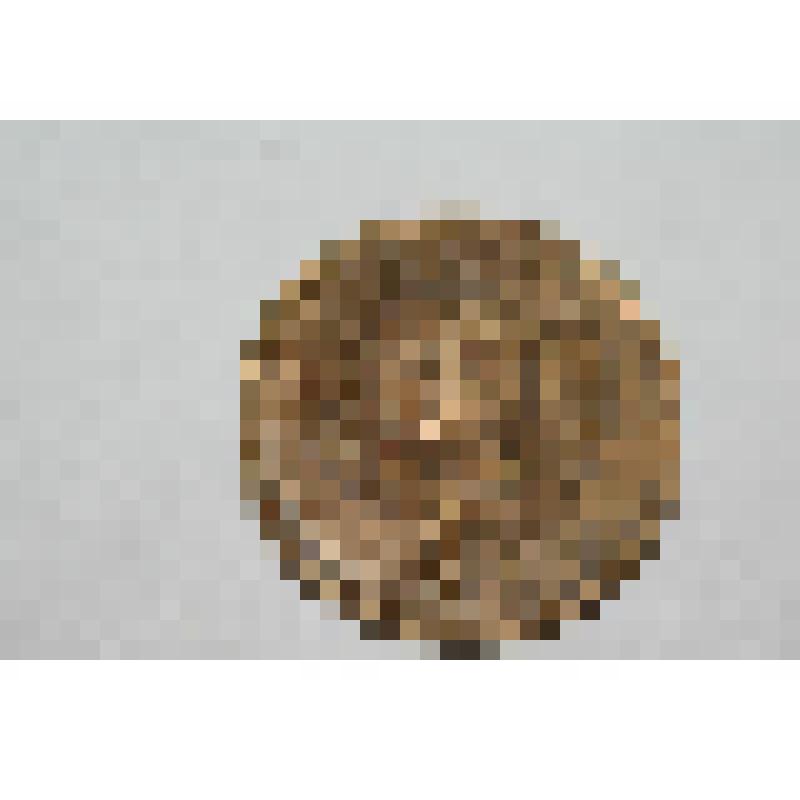 Монета. 5 копеек