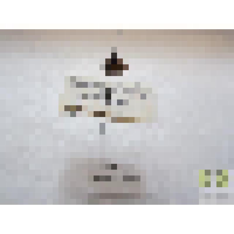 Семиадалия нотата  (Semiadalia notata Laich.)