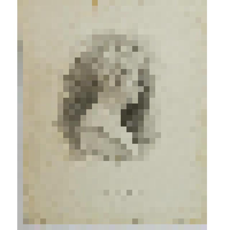 Портрет-бюст Карла Брюллова