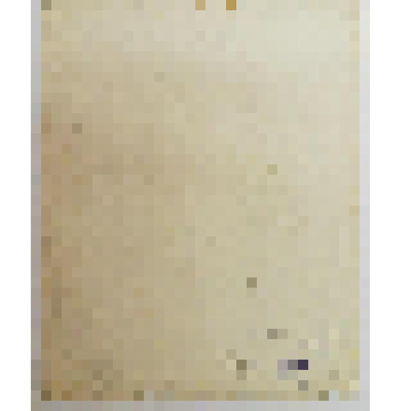 Портрет-бюст Карла Брюллова