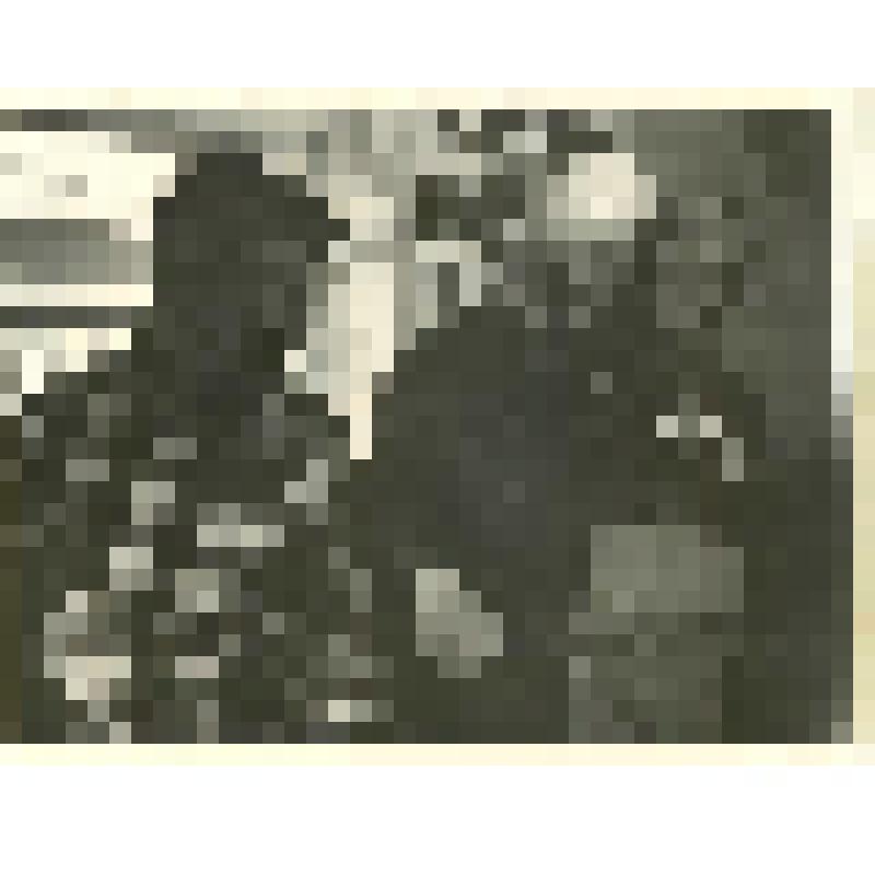 Фотография черно-белая. Житель с. Скородум Усть-Куломского р-на Шомысов В.А. обучает игре на сигудке собирателя коми народных инструментов Чисталева П.И