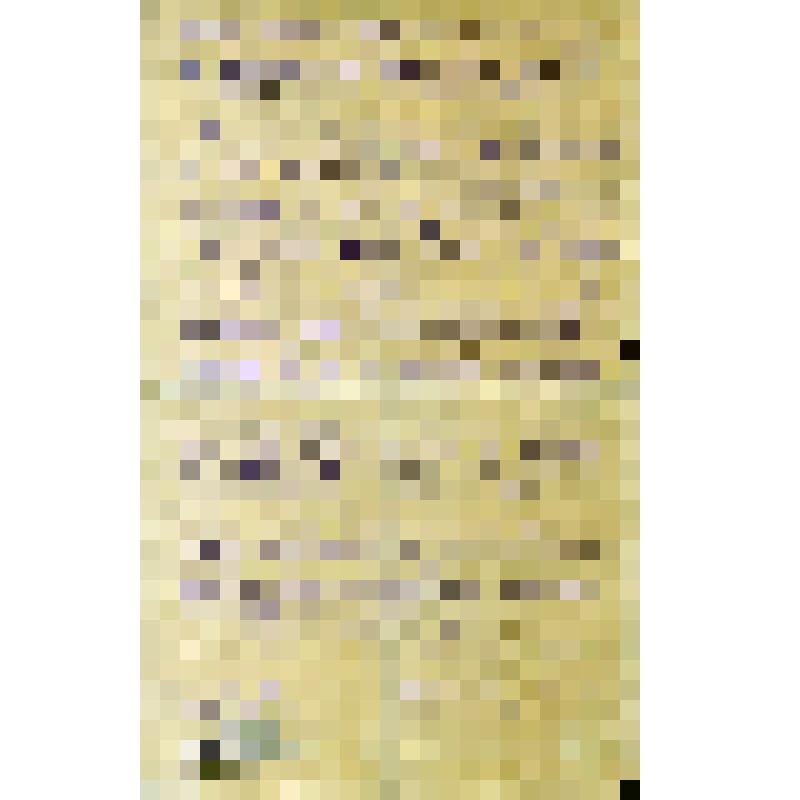 Ваши товарищи. Письмо к нижегородским рабочим. Товарищи!