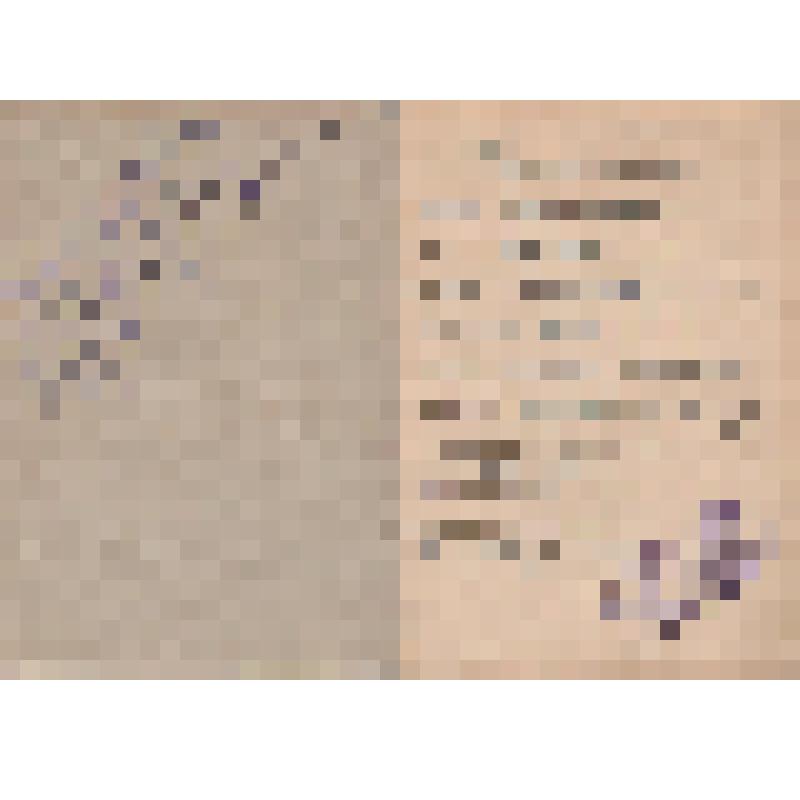 Трудовая книжка Иконниковой Е.П