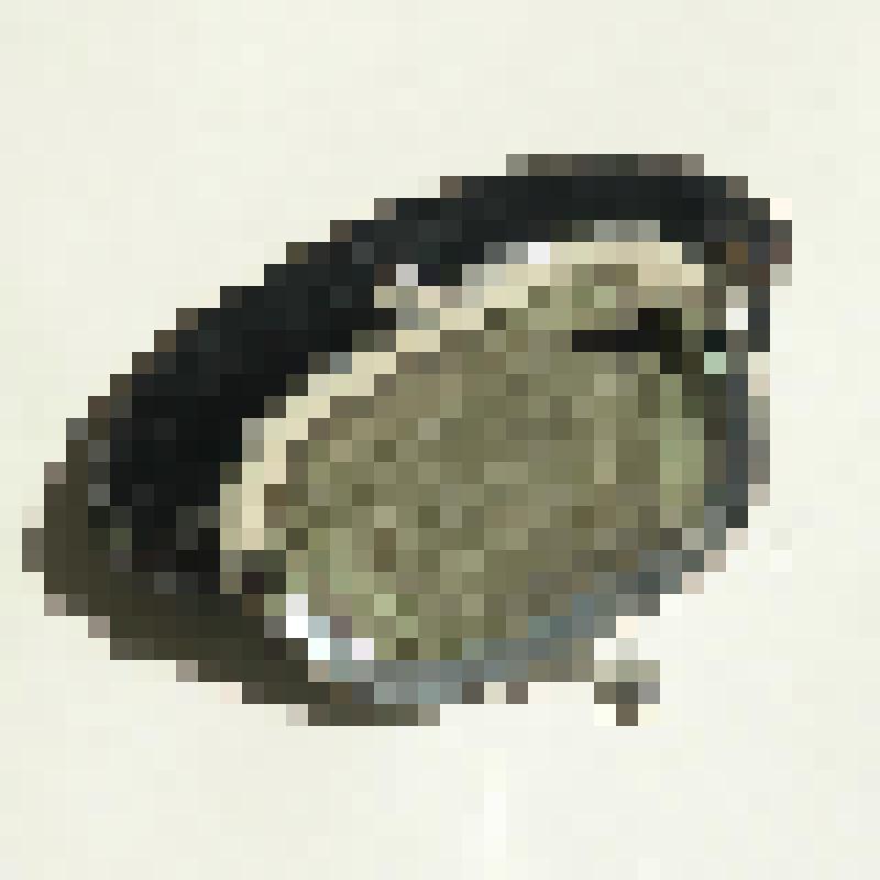 Кошелёк (для денег) чёрный