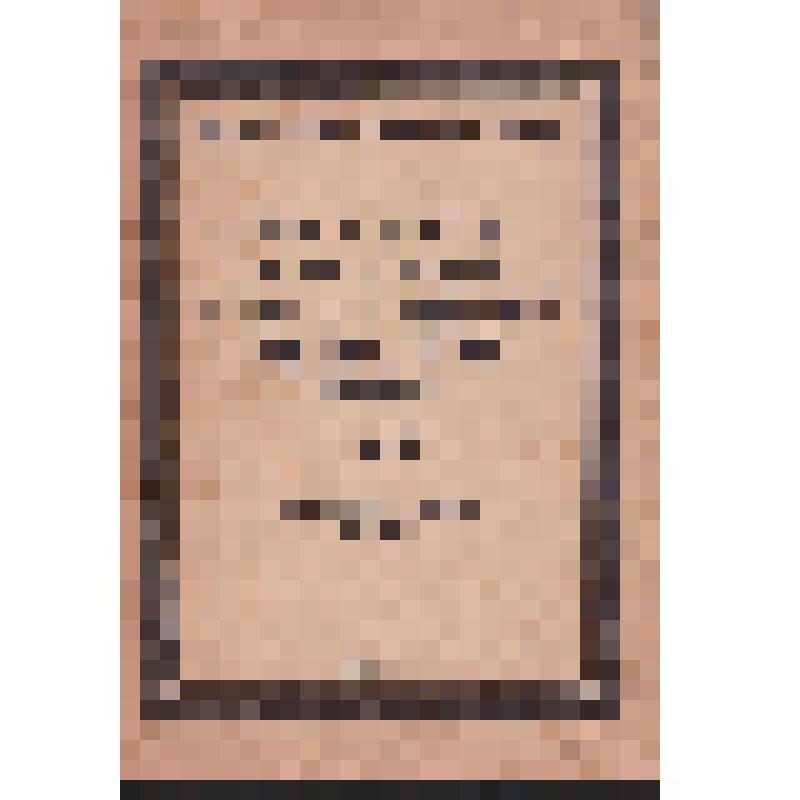 Книга. История русской общественной мысли. VII. -П.Т.Г., 1918 г