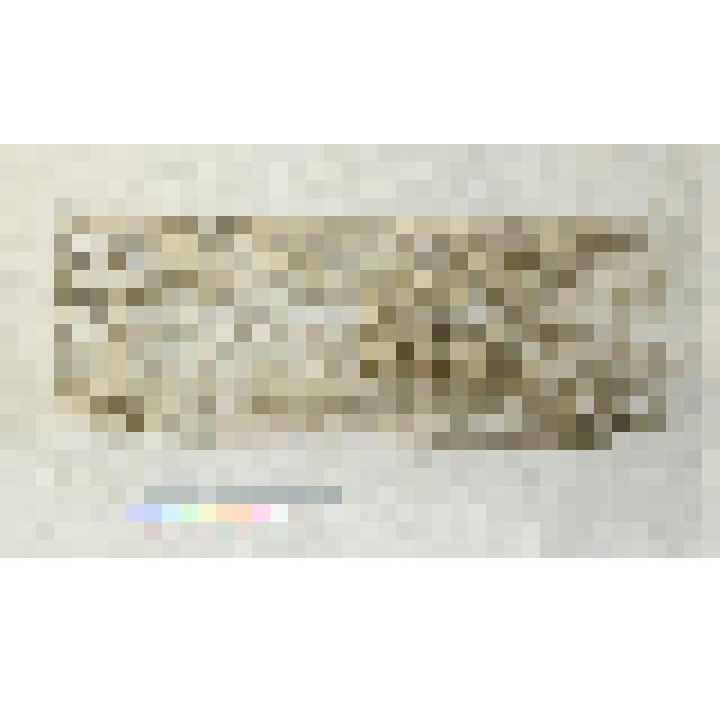 Морда металлическая для ловли ондатры