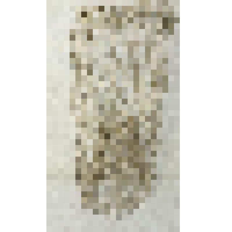 Морда металлическая для ловли ондатры