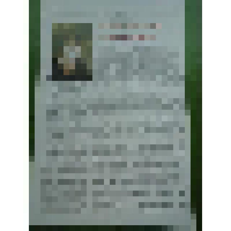 Статья «За каждый вздох и слог в ответе». Стихотворения «Родная речь», «Есть национальные святыни», «Любить Россию»