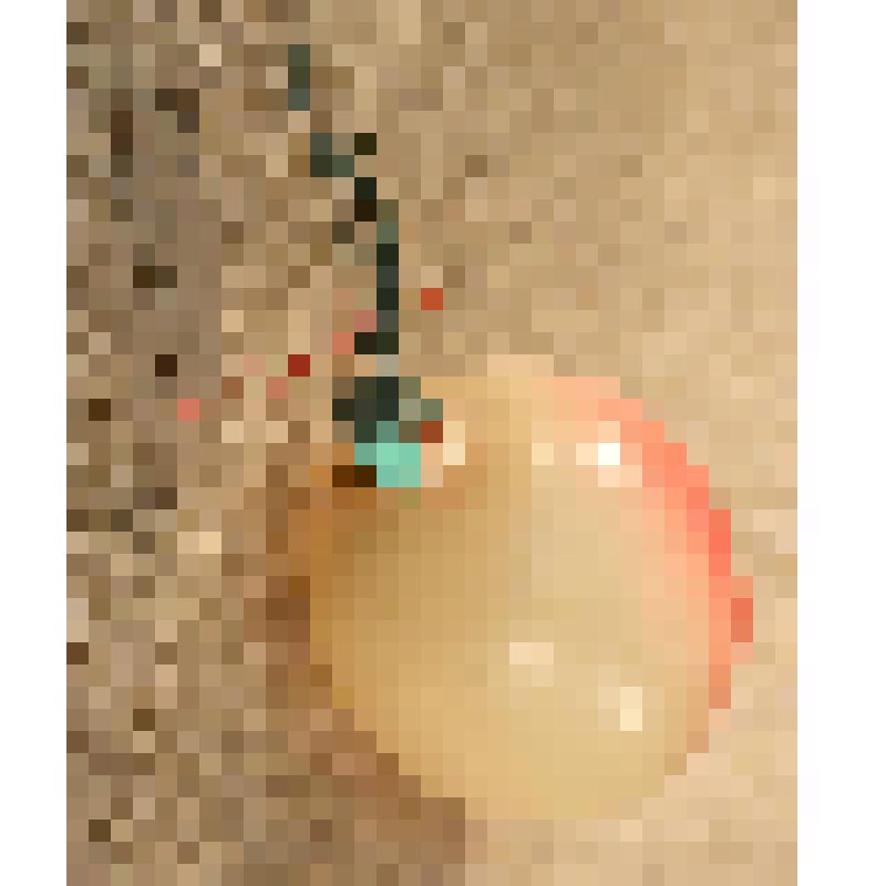 Игрушка елочная «Яблоко», из коллекции елочных игрушек и украшений