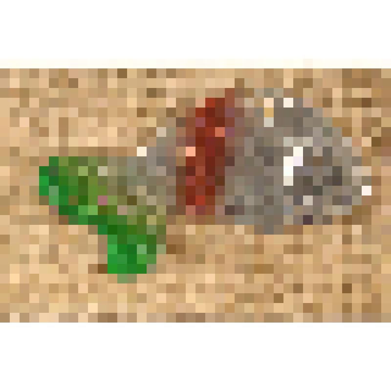 Игрушка елочная картонажная «Рыбка», из коллекции елочных игрушек и украшений