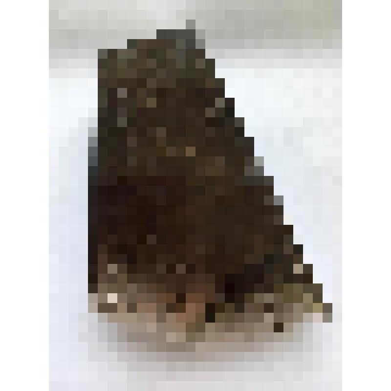 Минерал Волосатик - кварц (горный хрусталь) с тонкими включениями волосовидных кристаллов рутила