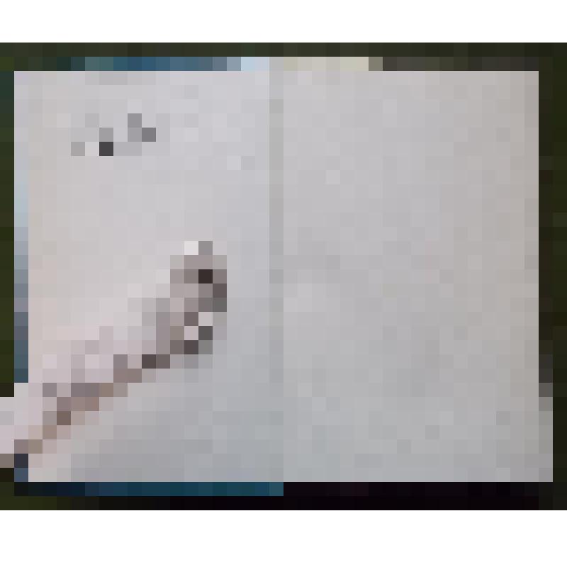 Блок А.А. Новые материалы и исследования. В 4-х кн. Кн. 2 (Лит.Насл. Т.92) /АН СССР ИМЛИ.- Наука, 1981.- 416 с.: ил. - (Литературное наследство. Т. 92)