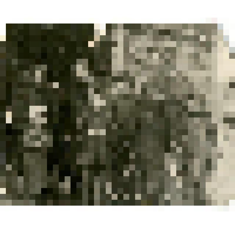 Фотография. Группа тунгусов уроч.Салгачча