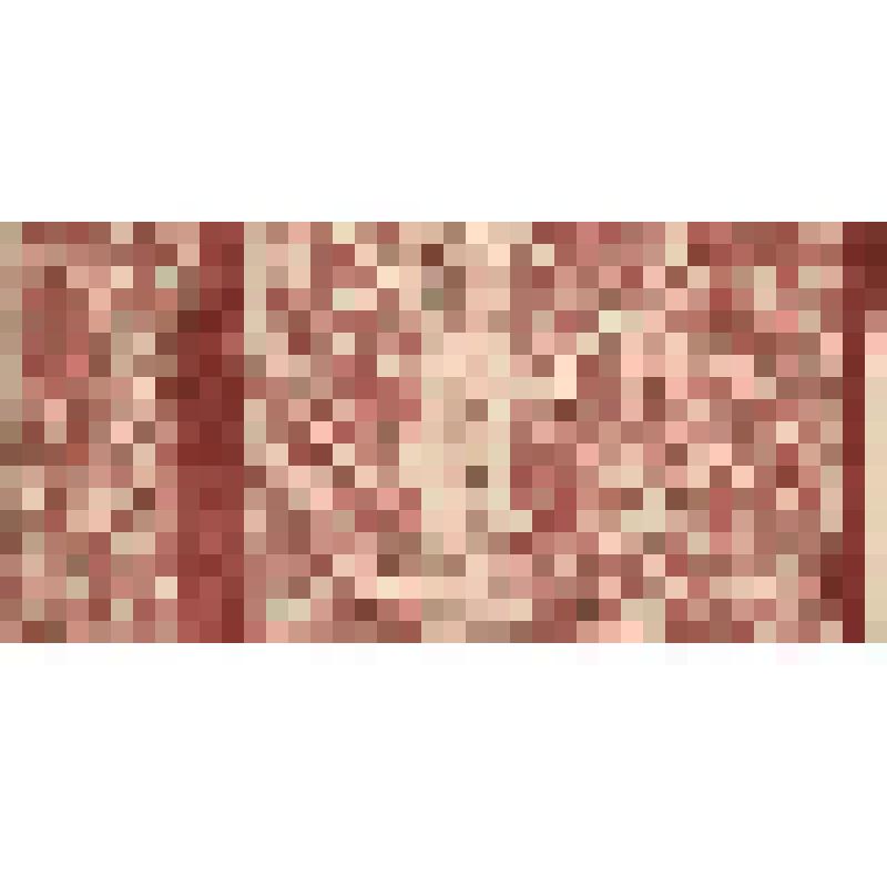 Зарисовка фрагмента передника. Из альбома "Русское народное ткачество Новгородской и Псковской области"