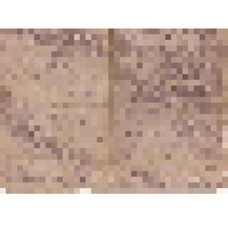 Письмо от Сокурова Николая Андреевича от дочери Сокуровой Любови Николаевне