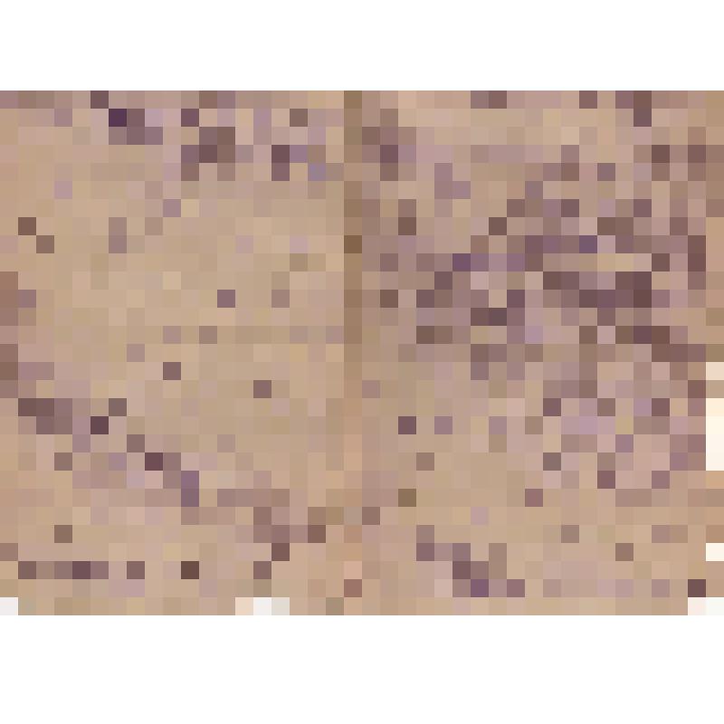 Письмо от Сокурова Николая Андреевича от дочери Сокуровой Любови Николаевне