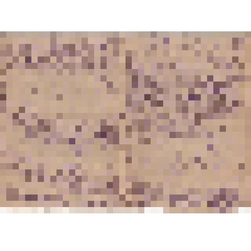 Письмо от Сокурова Николая Андреевича от дочери Сокуровой Любови Николаевне