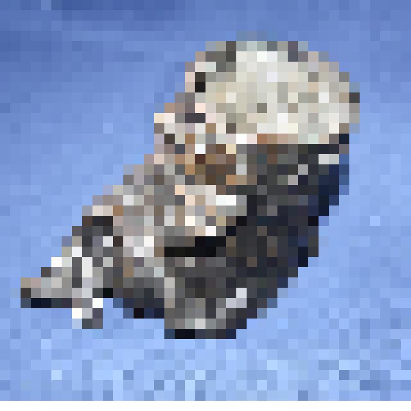 "Пень". Пепельница