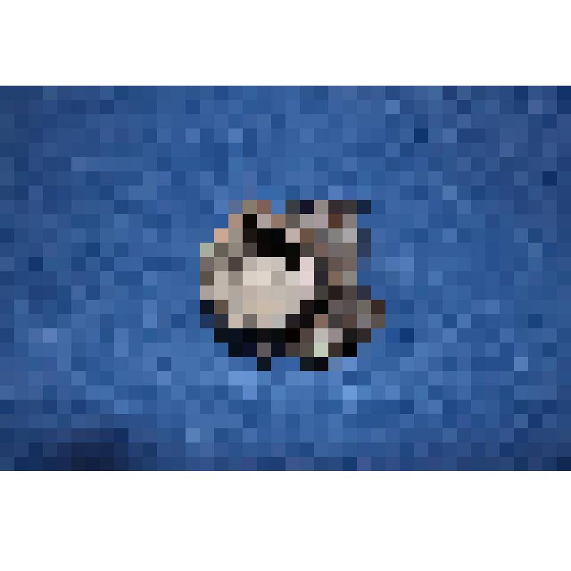 "Пень". Пепельница