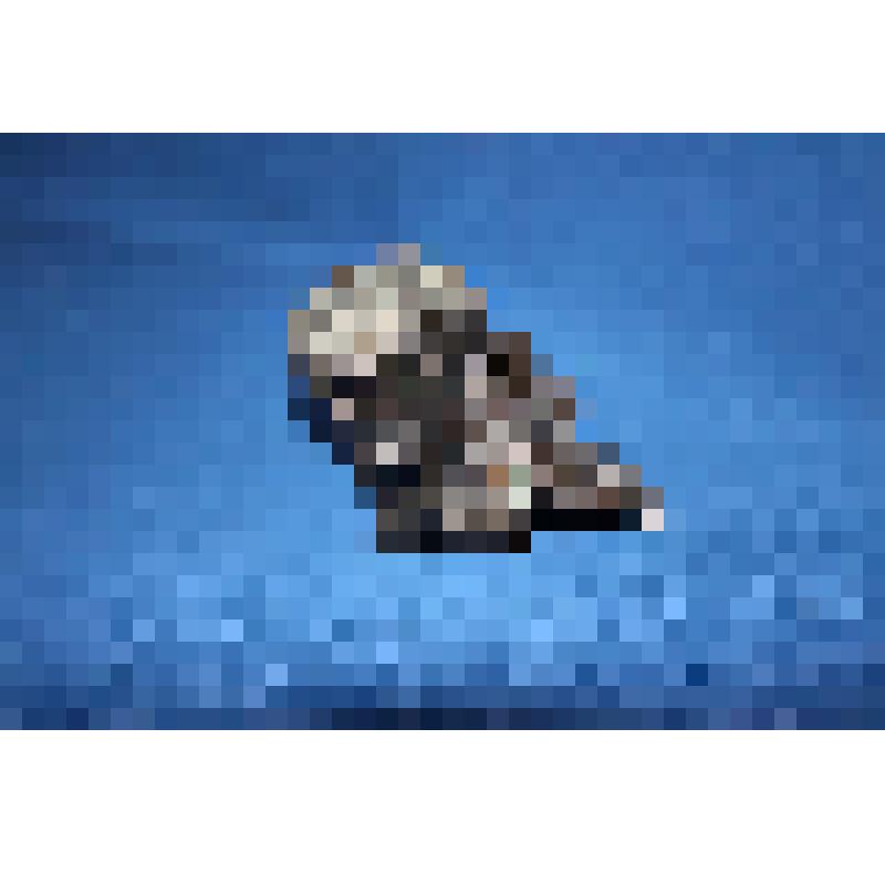 "Пень". Пепельница