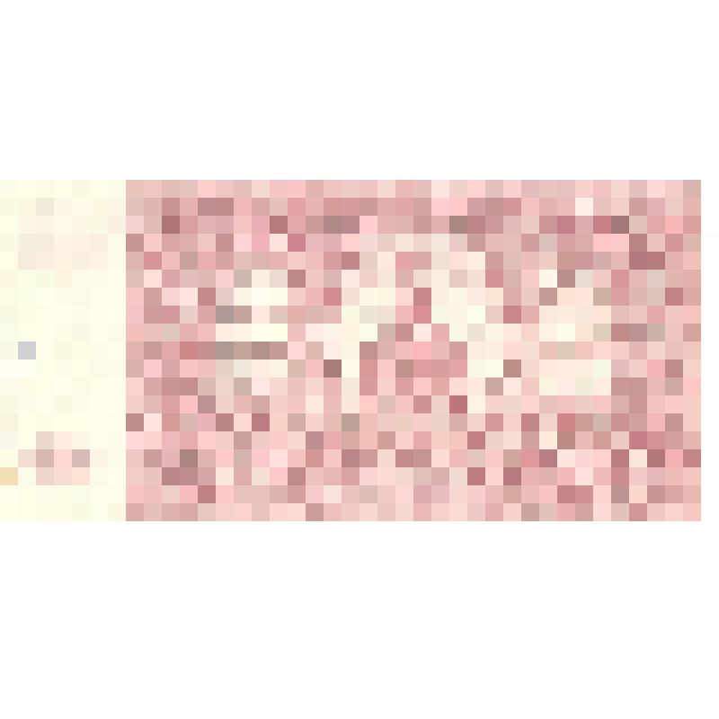 Билет Государственного Казначейства главного командования вооруженными силами на юге России (100 рублей)