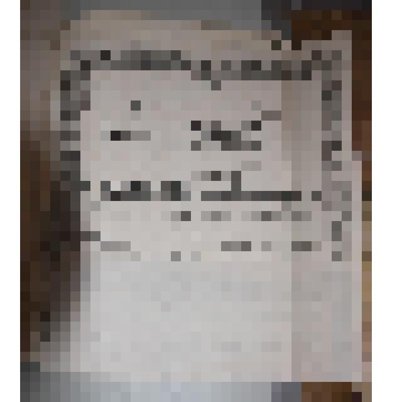 Афиша. Блестящий фейерверк в Лазаретном саду 29 июня 1855 г