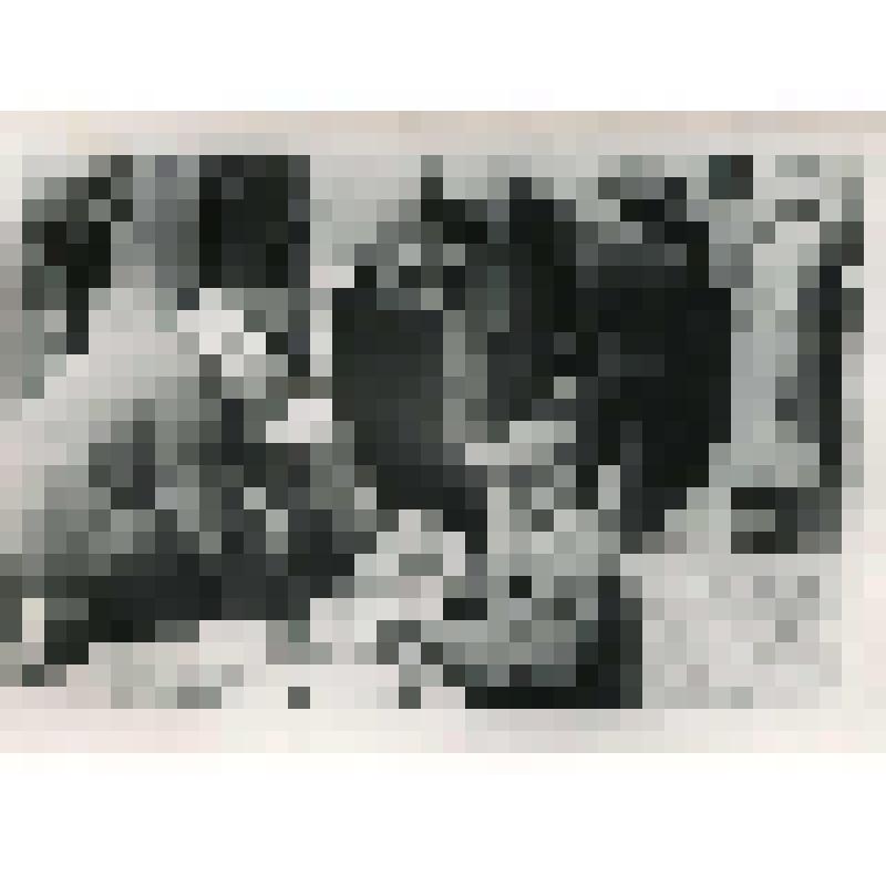 Фотография. Реставрационная комиссия на осмотре археологических остатков надвратной церкви Саввино-Сторожевского монастыря