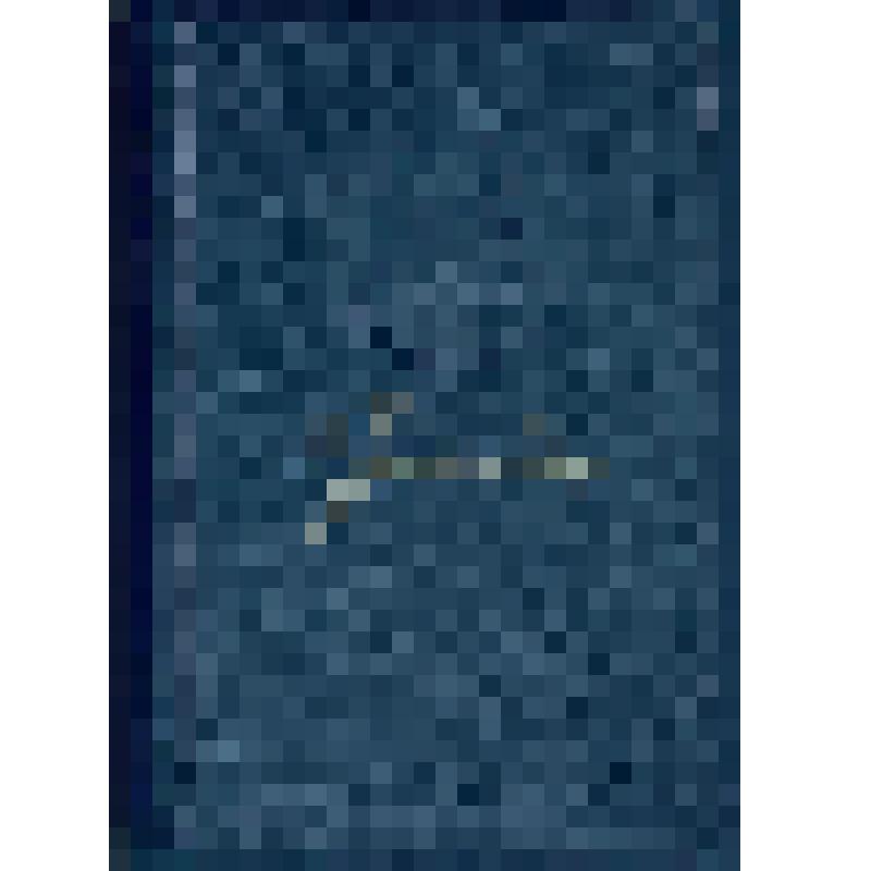 Полное собрание сочинений (октябрь 1905 - апрель 1906), том 12. Книга