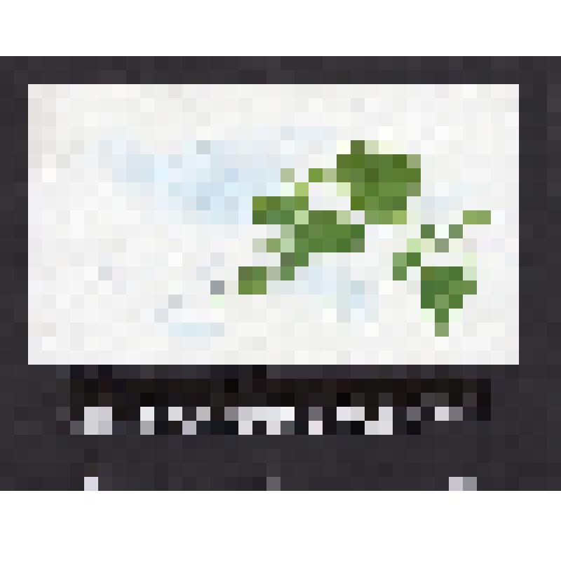 эскиз кадра к макету диафильма. Лист № 8: Летящий паук
Фильм: Кто как к зиме готовится. 1989