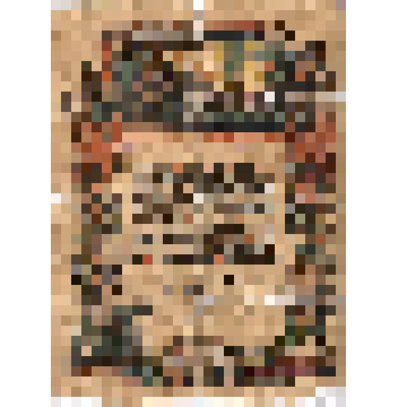 Грамота Красному командиру 1 ой конармии Семенову Николаю Алексеевичу. 1921 г