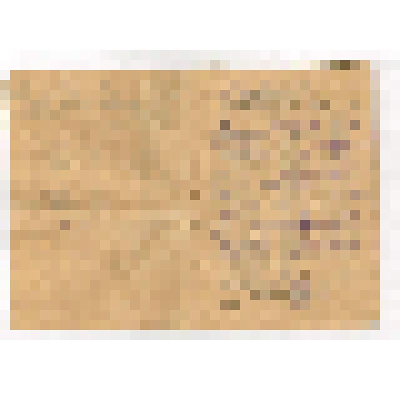 Книжка амбулаторная курортная №9214И.П.Знотынь