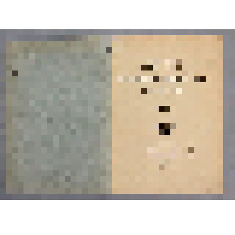 Справочное издание. Летописи Николаевской Главной Физической Обсерватории. 1904 г. Прибавление / под ред. А.В. Вознесенского. - Иркутск: Паровая типо-литограф. П.И. Макушина и В.М. Посохина, 1907. - [8], V, 102 с