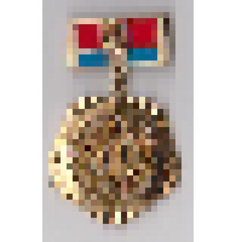 Нагрудный знак «Застройка сел
Днепропетровщины 1981»