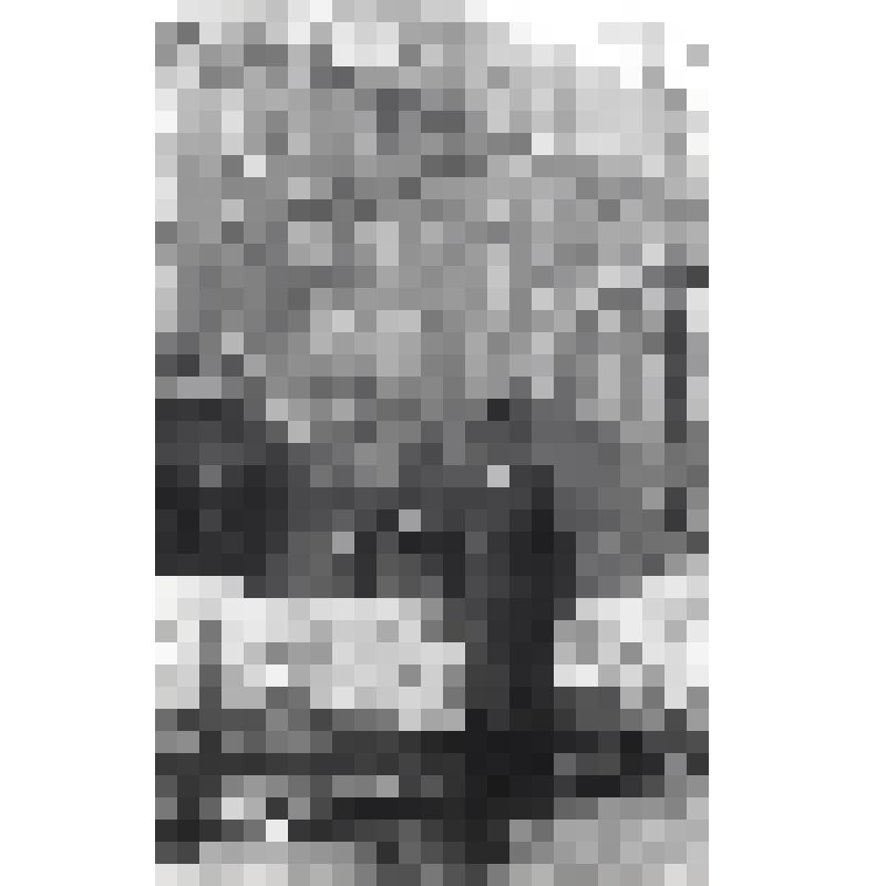 Фотография. Сидоров Рафаэль Вячеславович