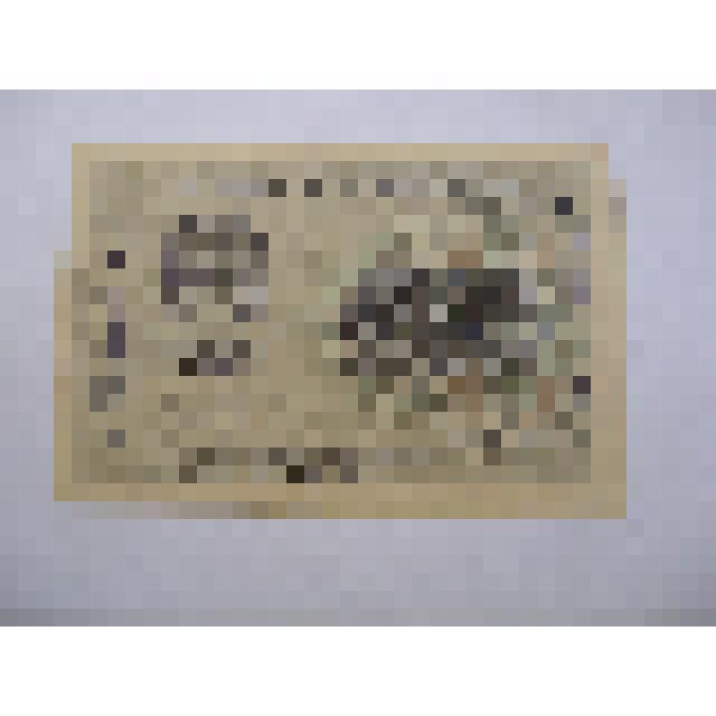 Расчетный знак РСФСР номиналом 250 руб. 1919 г. № АА-045
